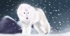 upload_2016-4-6_19-17-12.jpeg