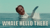 tumblr_inline_nxnnnc1pV11ss46ox_500.gif