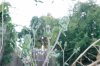 _B257260.jpg