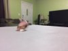C7A847C8-58E0-434E-85FA-0F54B2F832CE.jpeg