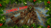 Screenshot (16).png