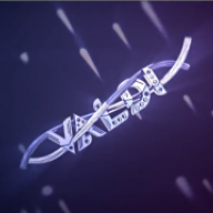 Valdi_1111