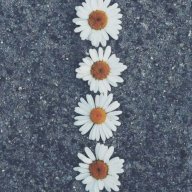 Makahla