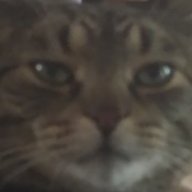 Gr0b