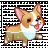 Puss_In_BootsMC