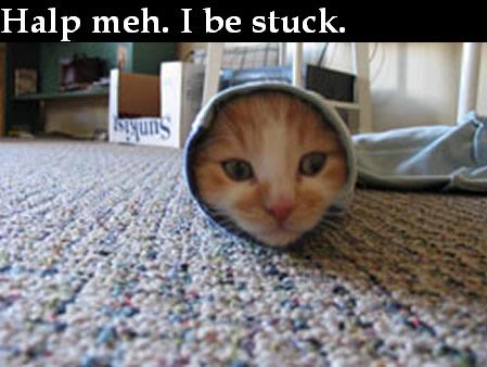 funny_cat_by_ninjagirlsai.jpg