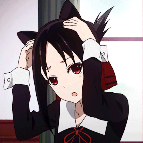 tumblr_pmd18xdlV31qa94xto1_500.gif