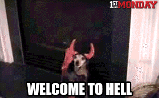 tumblr_n9eth3MtvX1tagn6ao1_400.gif