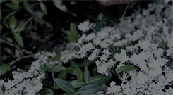 8566ab1862ac38fe2a4a5a53ed7ba21f.gif