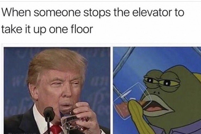 5a742cced62e3.jpeg